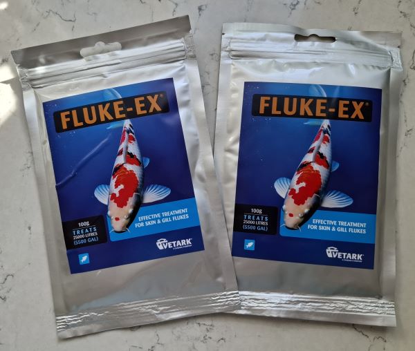 Fluke EX